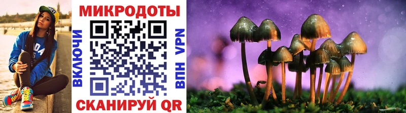 Псилоцибиновые грибы Psilocybine cubensis Старый Крым